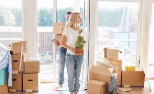 How Professional Help Efficiently Done Removal Jobs